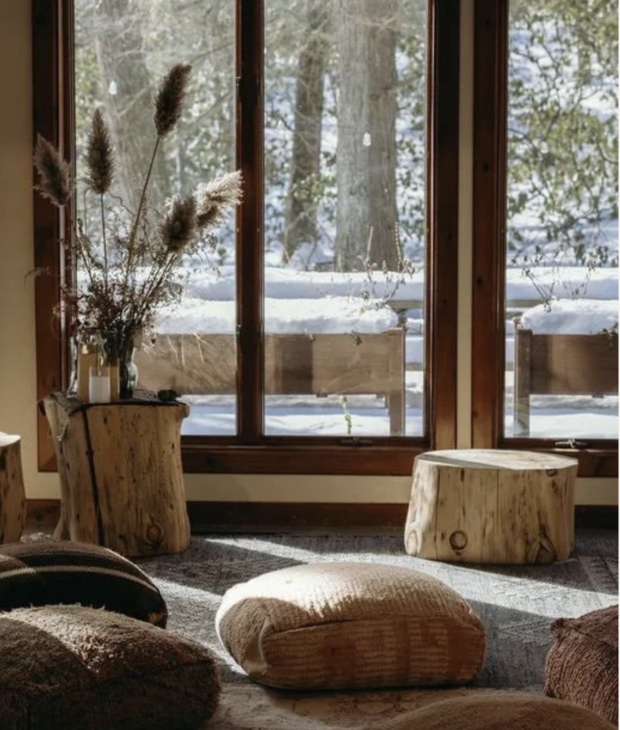 Lounge looking onto snow